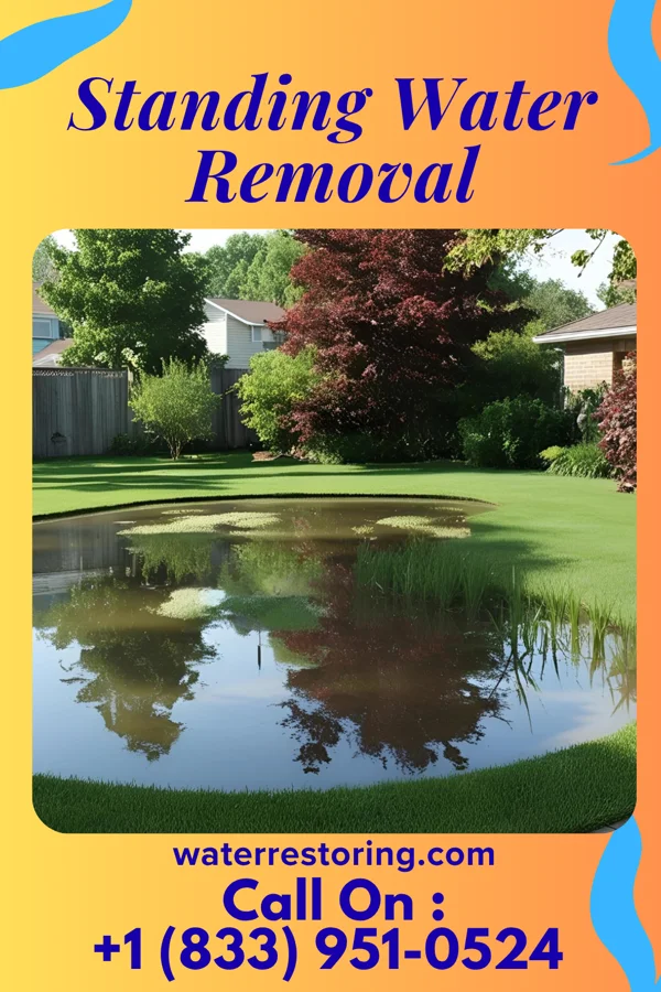 Standing Water Removal in Granby, MO